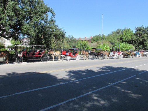 Horse drawn carriages line up along the side of Jackson Square.